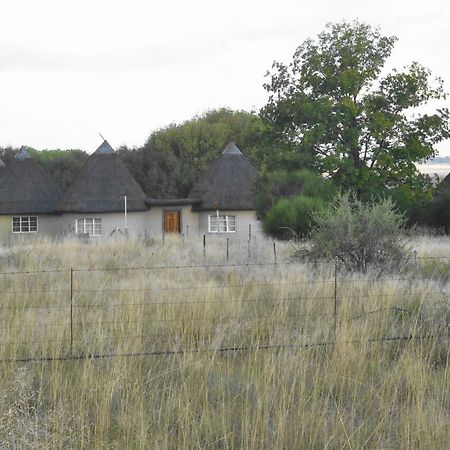 Van Zylsvlei - A Karoo Guest Farm Colesberg Exterior foto